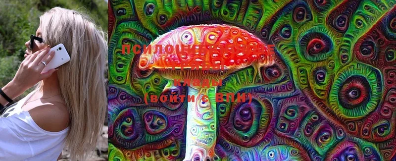 Псилоцибиновые грибы MAGIC MUSHROOMS  Соликамск 